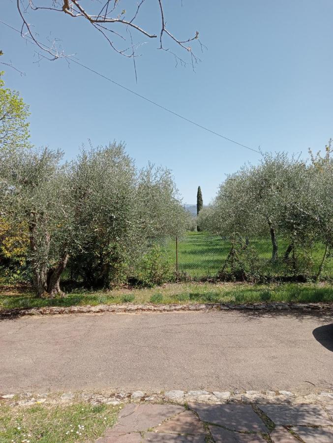 Al Canaiolo Strada in Chianti Bagian luar foto